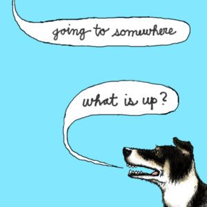 "Going to Somewhere / What is Up?" Album Cover